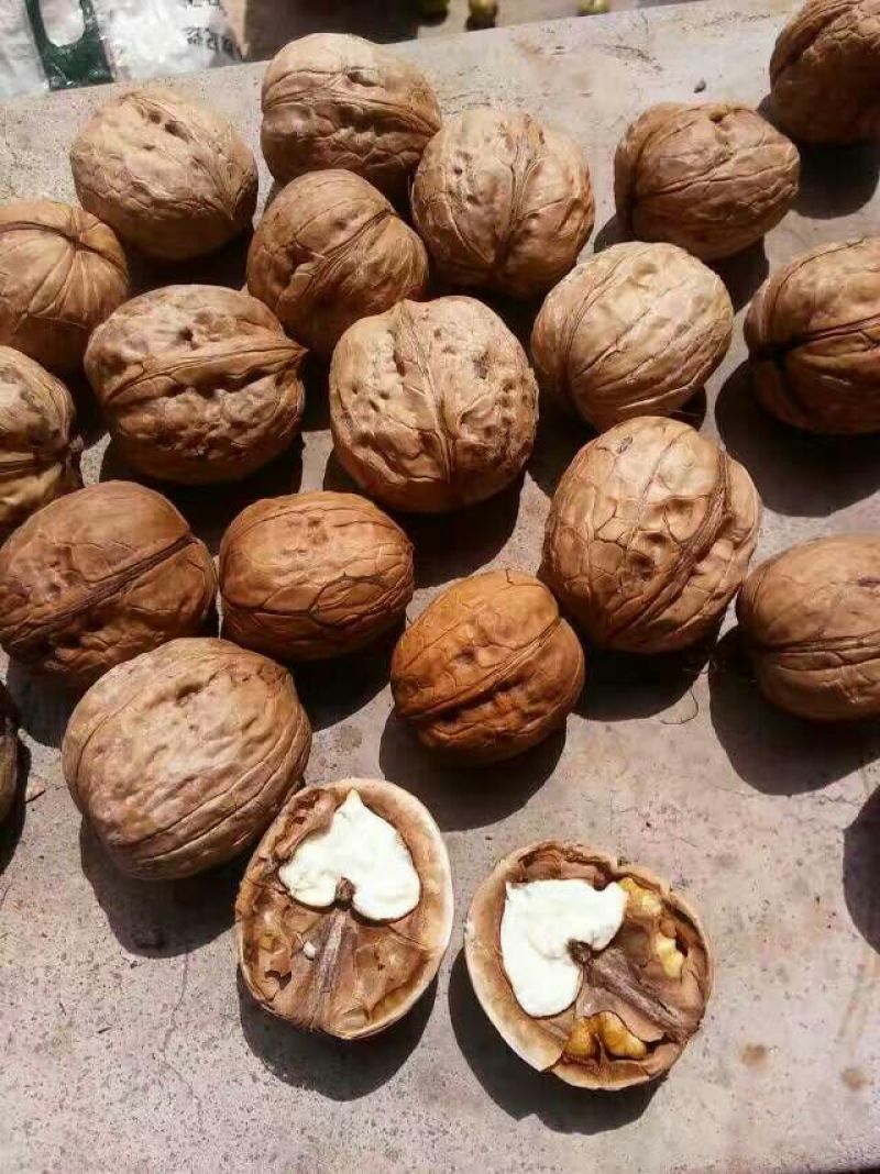 薄皮核桃30mm以上去皮干