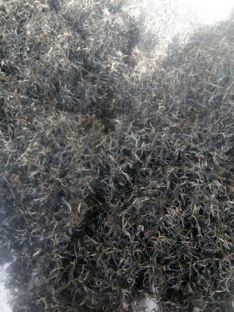 普洱绿茶散茶