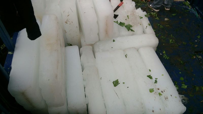 精品优质芹菜，杆黄叶绿，色泽鲜亮，种类，分中棵，小棵！