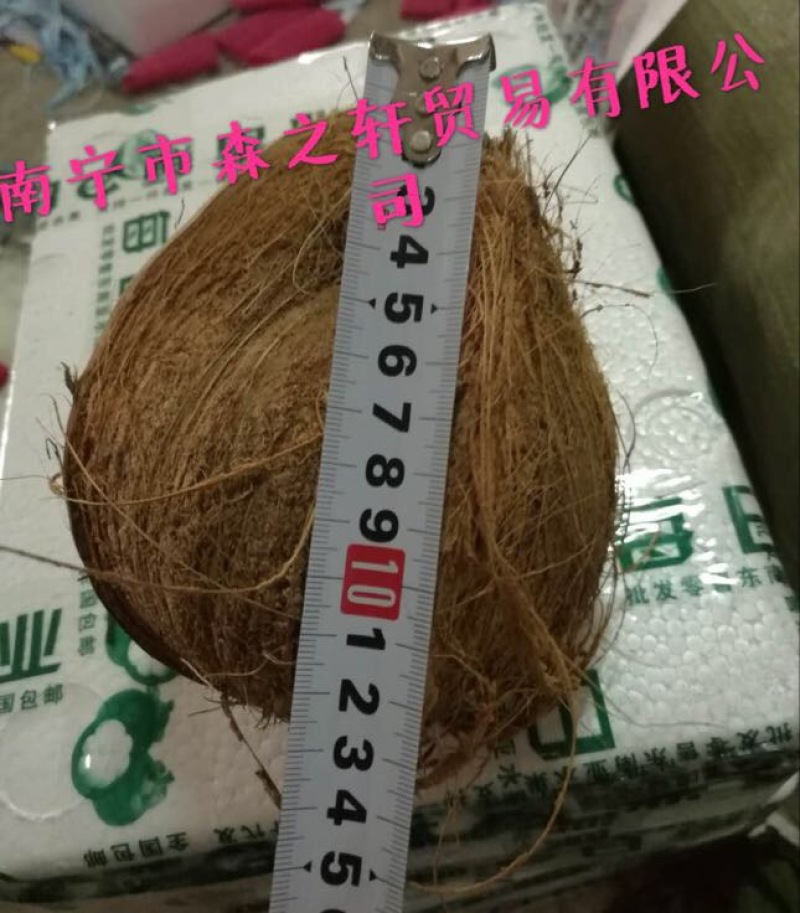 椰子