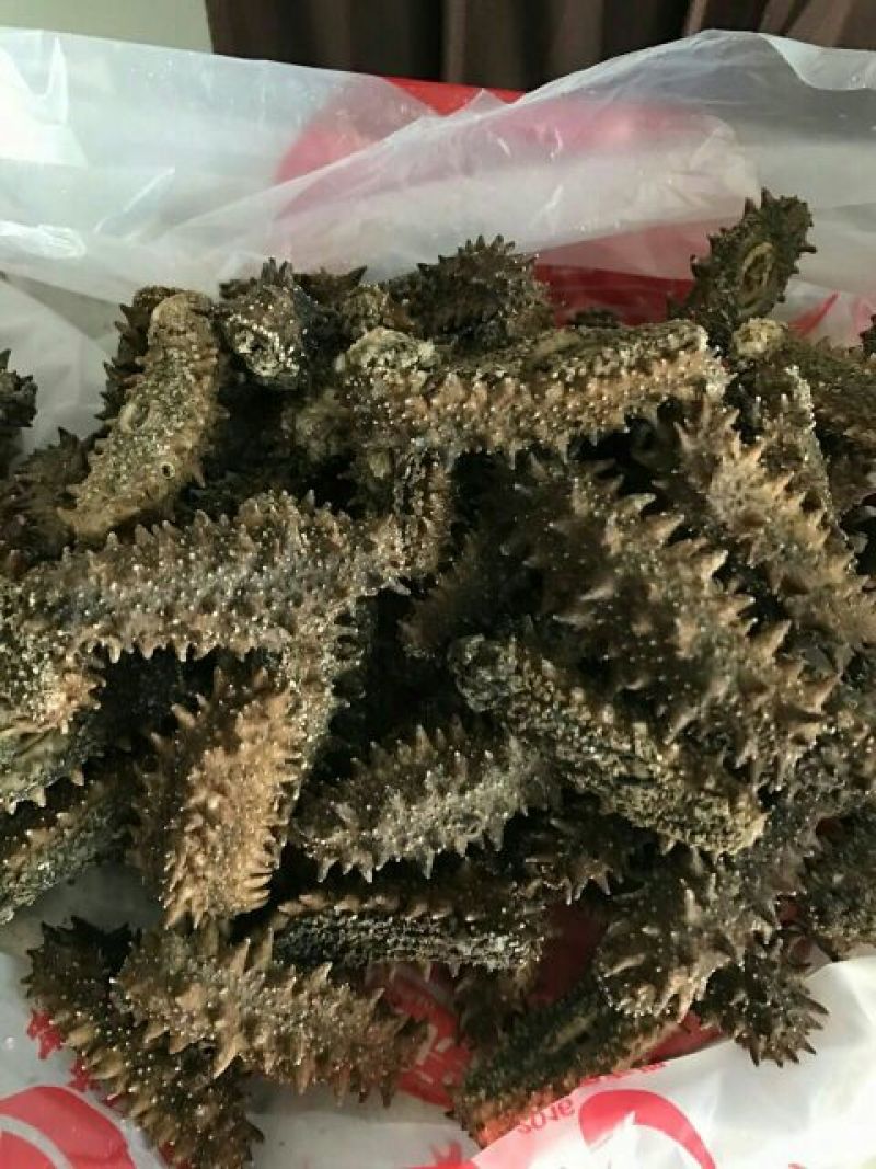 干海参食用淡干