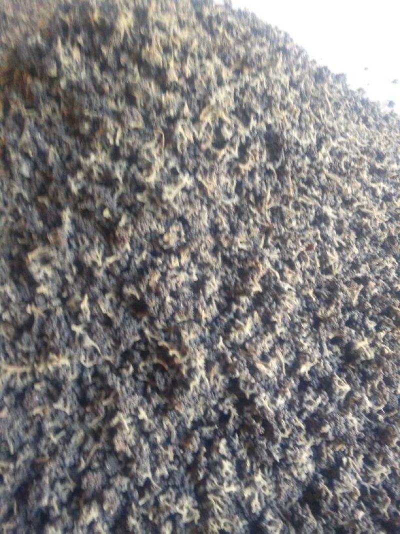 吴茱萸中花统