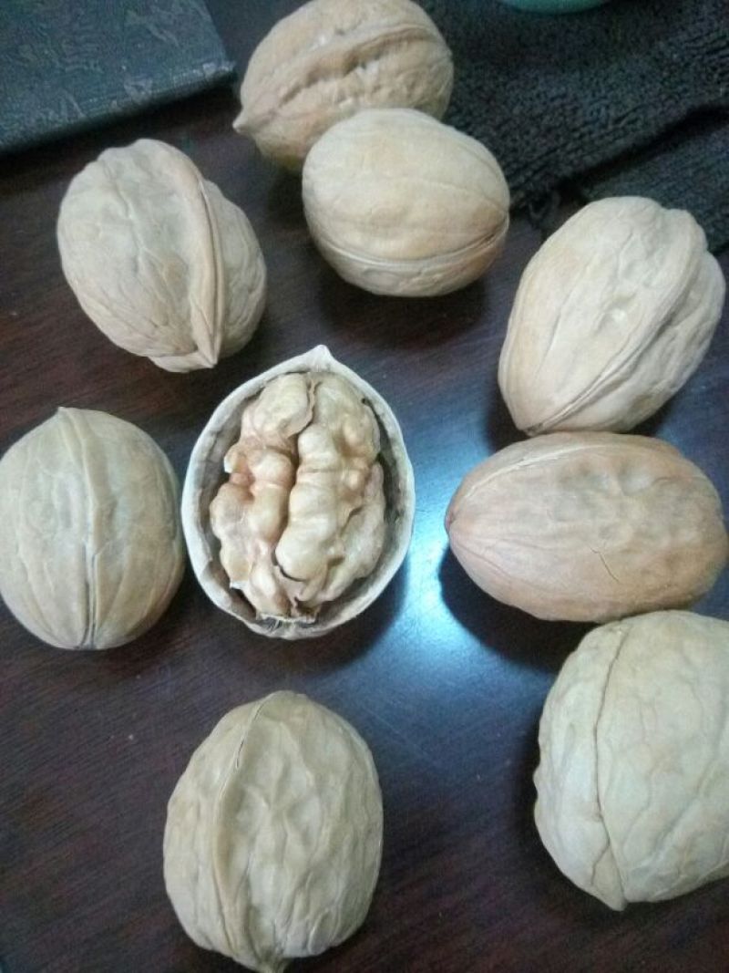 薄皮核桃去皮干