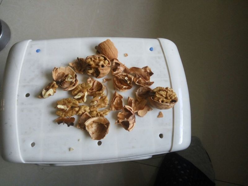 香玲核桃30mm以上去皮干