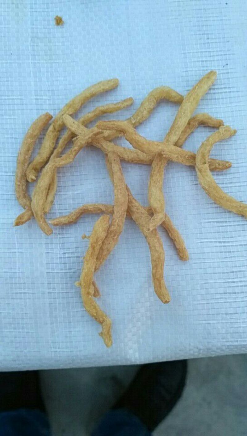 豆皮湿
