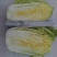 大白菜