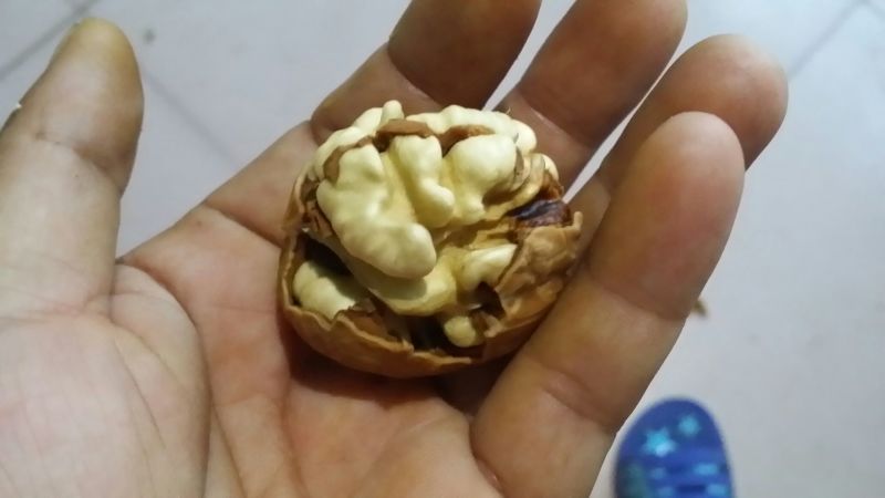 核桃去皮