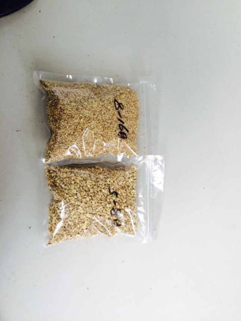 姜粉