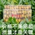 观音茶一级