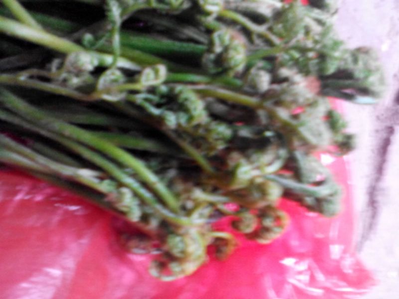 山野菜