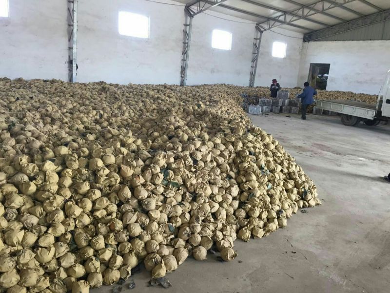 黄金梨600g以上纸袋