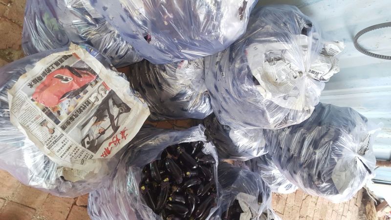 黑长茄2两以上