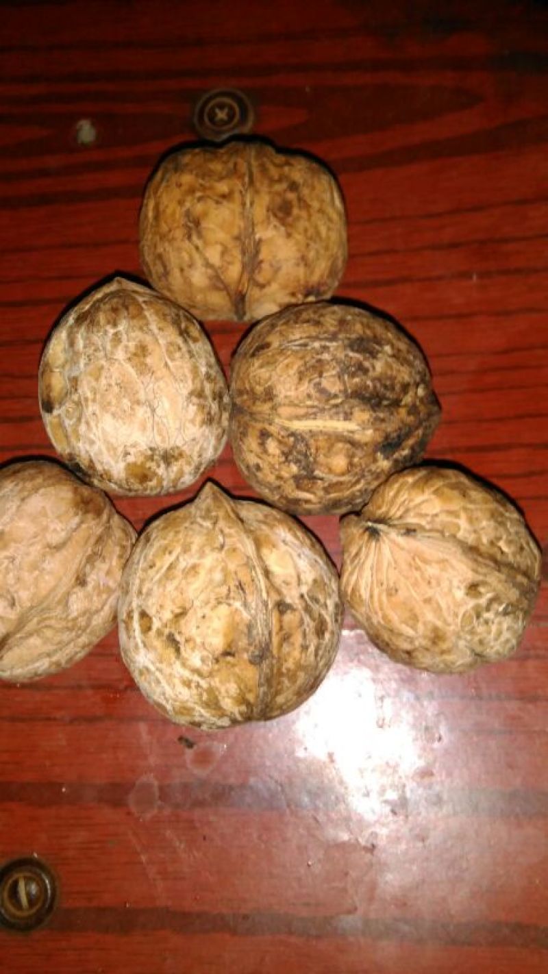 薄皮核桃40mm以上去皮干