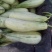 博洋蜜甜瓜1斤以上