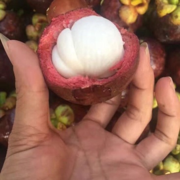 花竹果