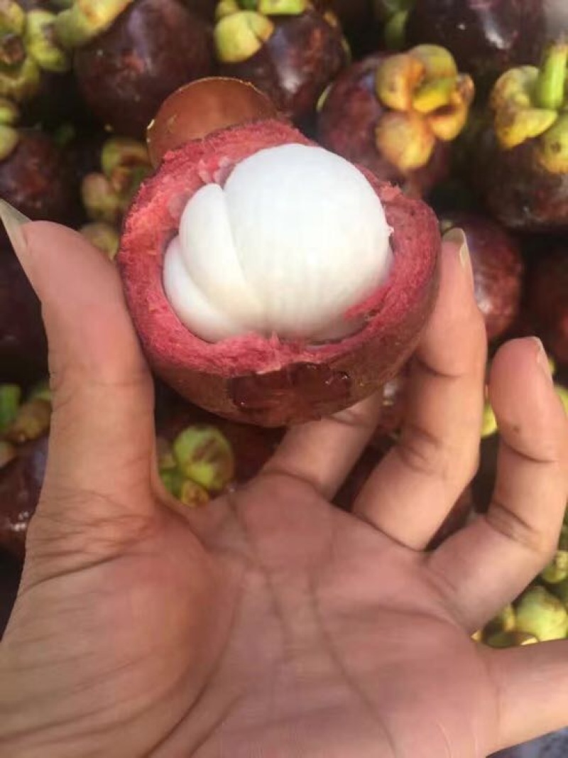 花竹果
