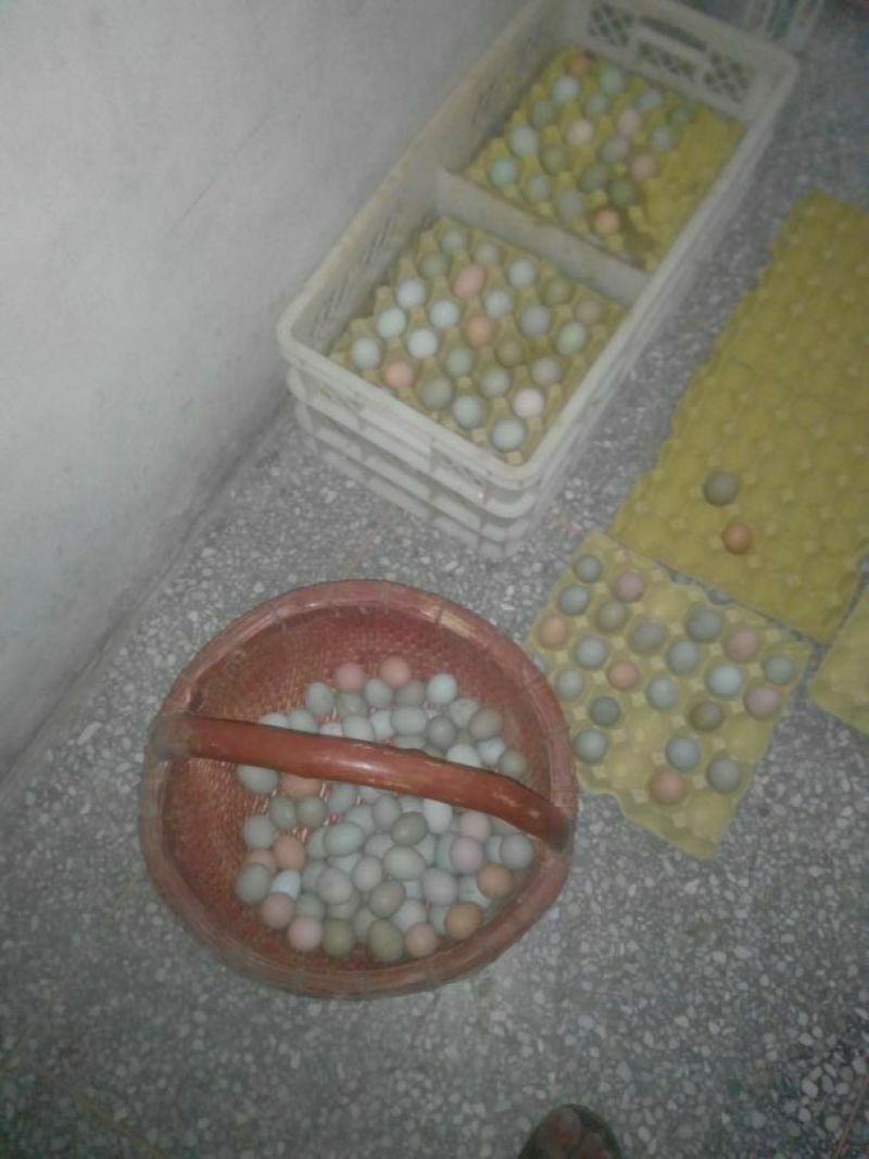 绿壳鸡蛋食用50g以下