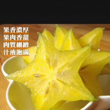 红杨桃2~3两