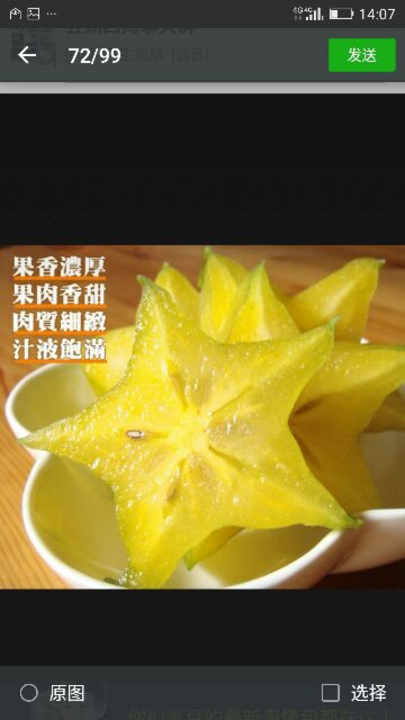红杨桃2~3两