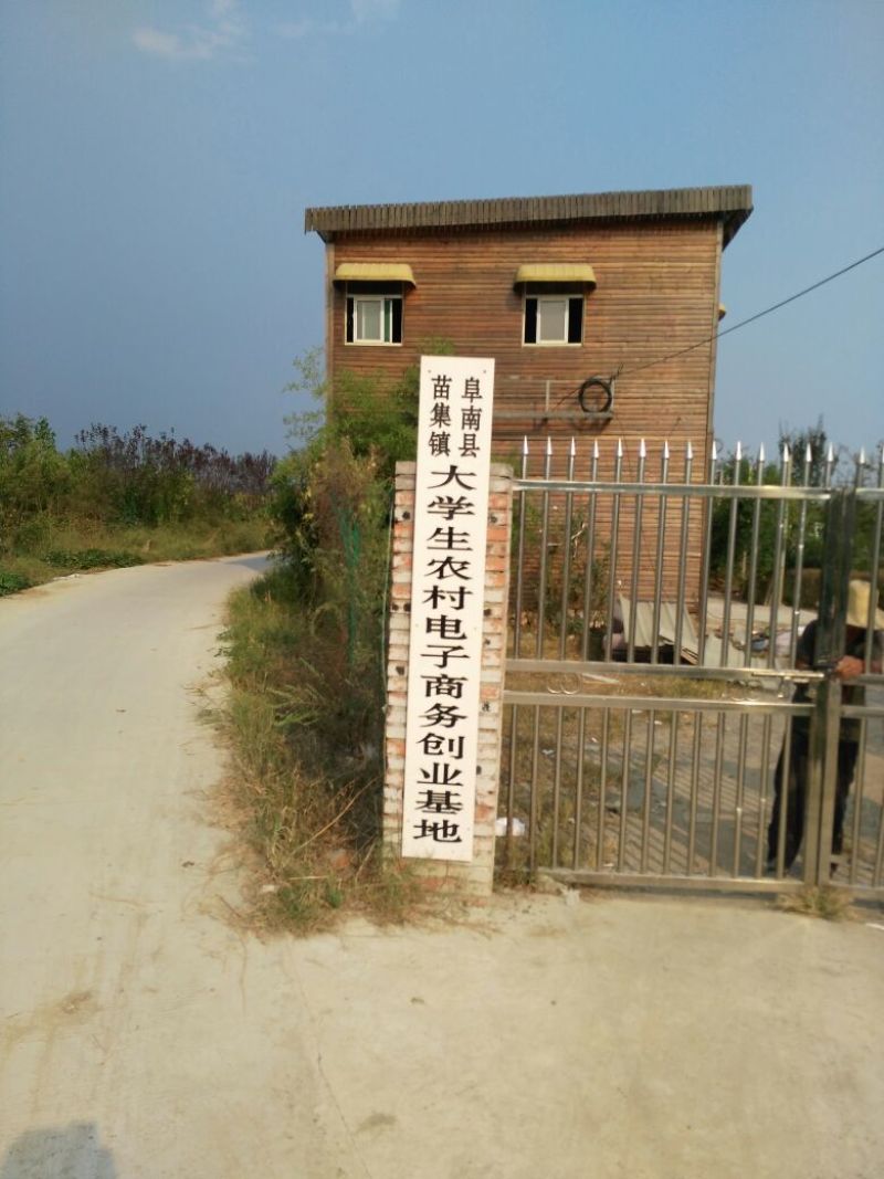晚秋黄梨500~550g纸袋