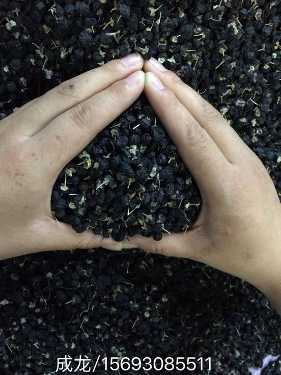 黑枸杞批发_马成龙供应_一亩田农业网