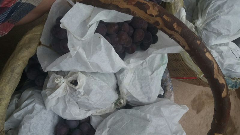 户太八号葡萄，礼泉县精品户太八号葡萄己经大量上市