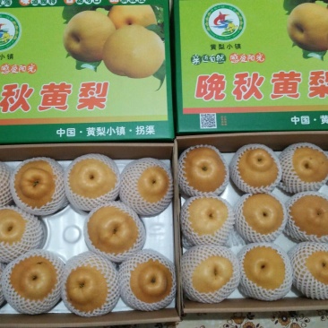 晚秋黄梨300~350g纸箱