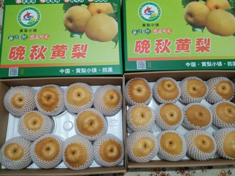 晚秋黄梨300~350g纸箱