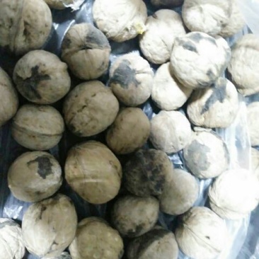 野生核桃去皮干