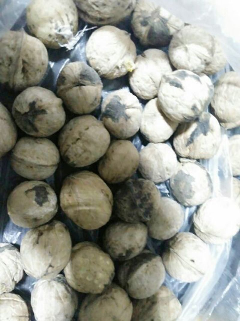 野生核桃去皮干
