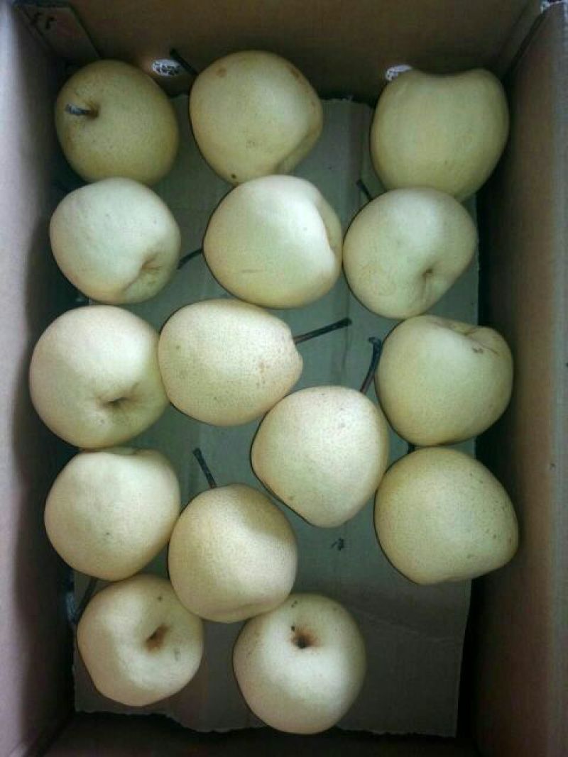 酥梨200~250g纸袋