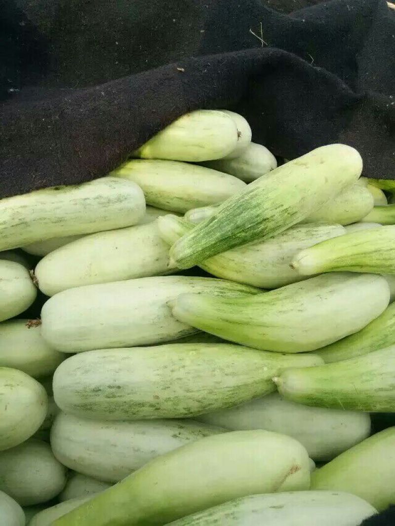 羊角酥1斤以上