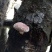 干香菇3cm以上