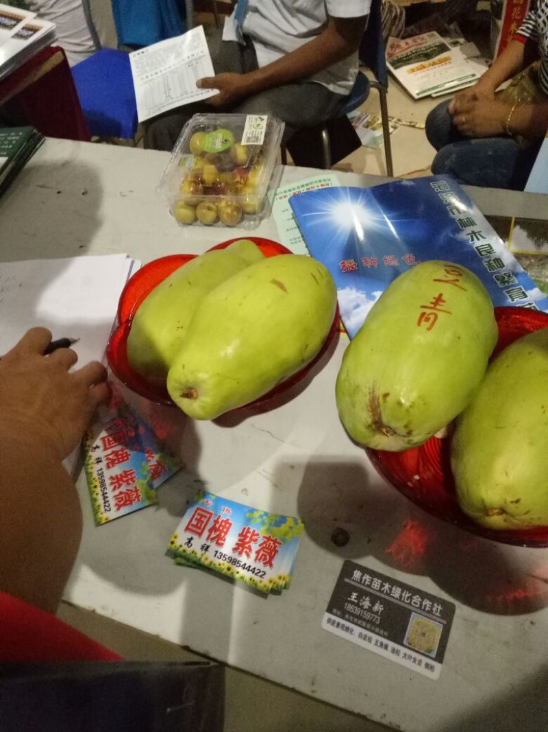 香木瓜1~1.5斤