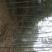 楠竹，原始竹林5~6cm5~6米