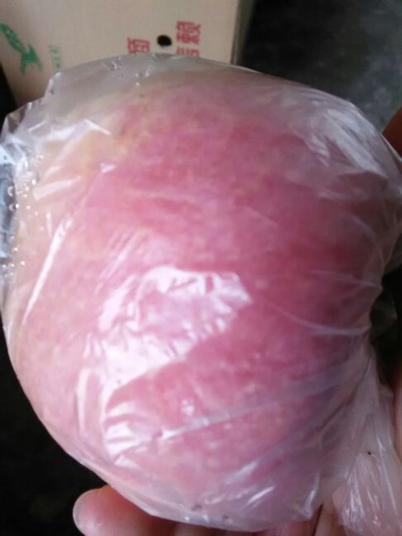 红富士苹果75mm以上膜袋