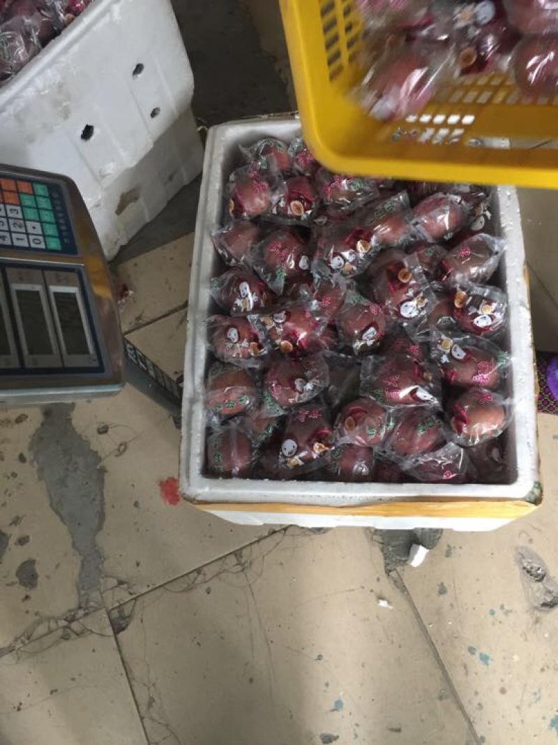 百香果独立包装桂林高山百香