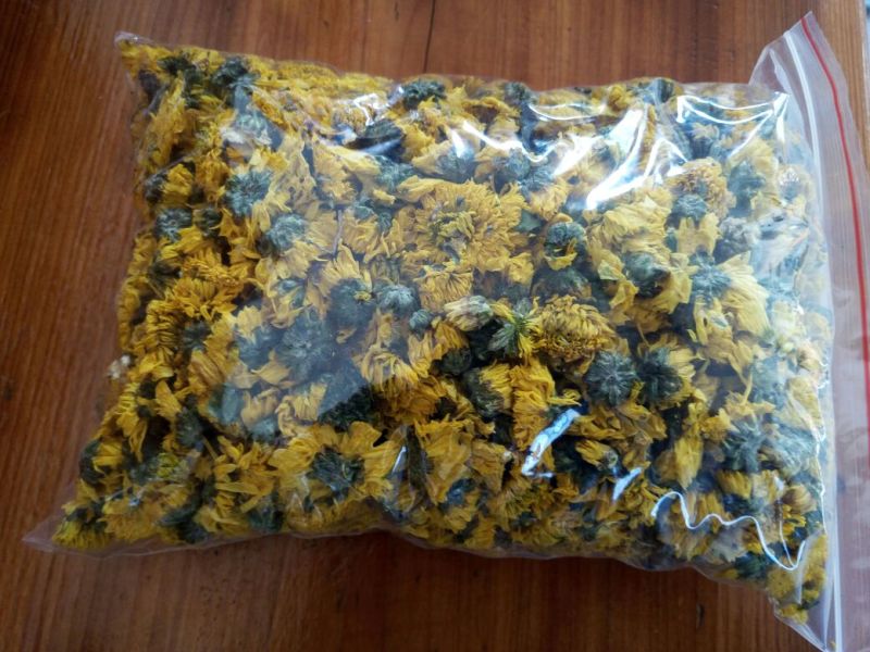 皇菊茶特级