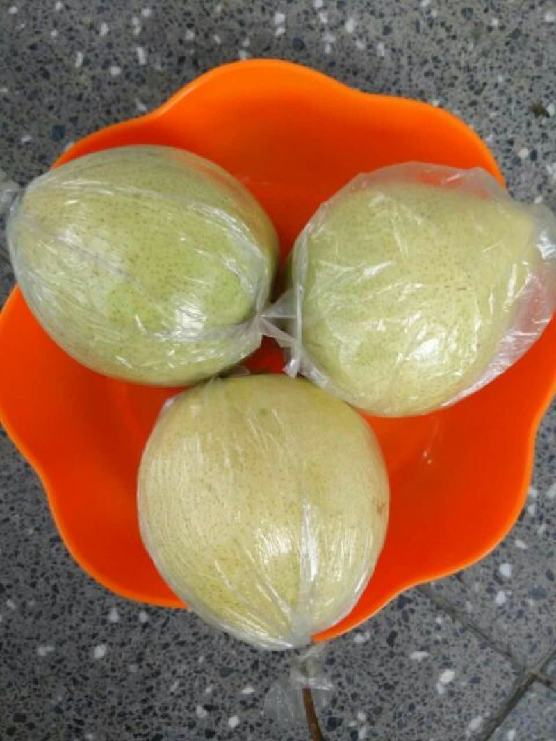 梨200~250g膜袋