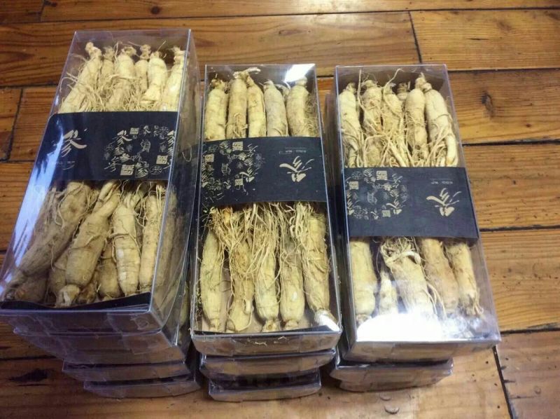 人参干