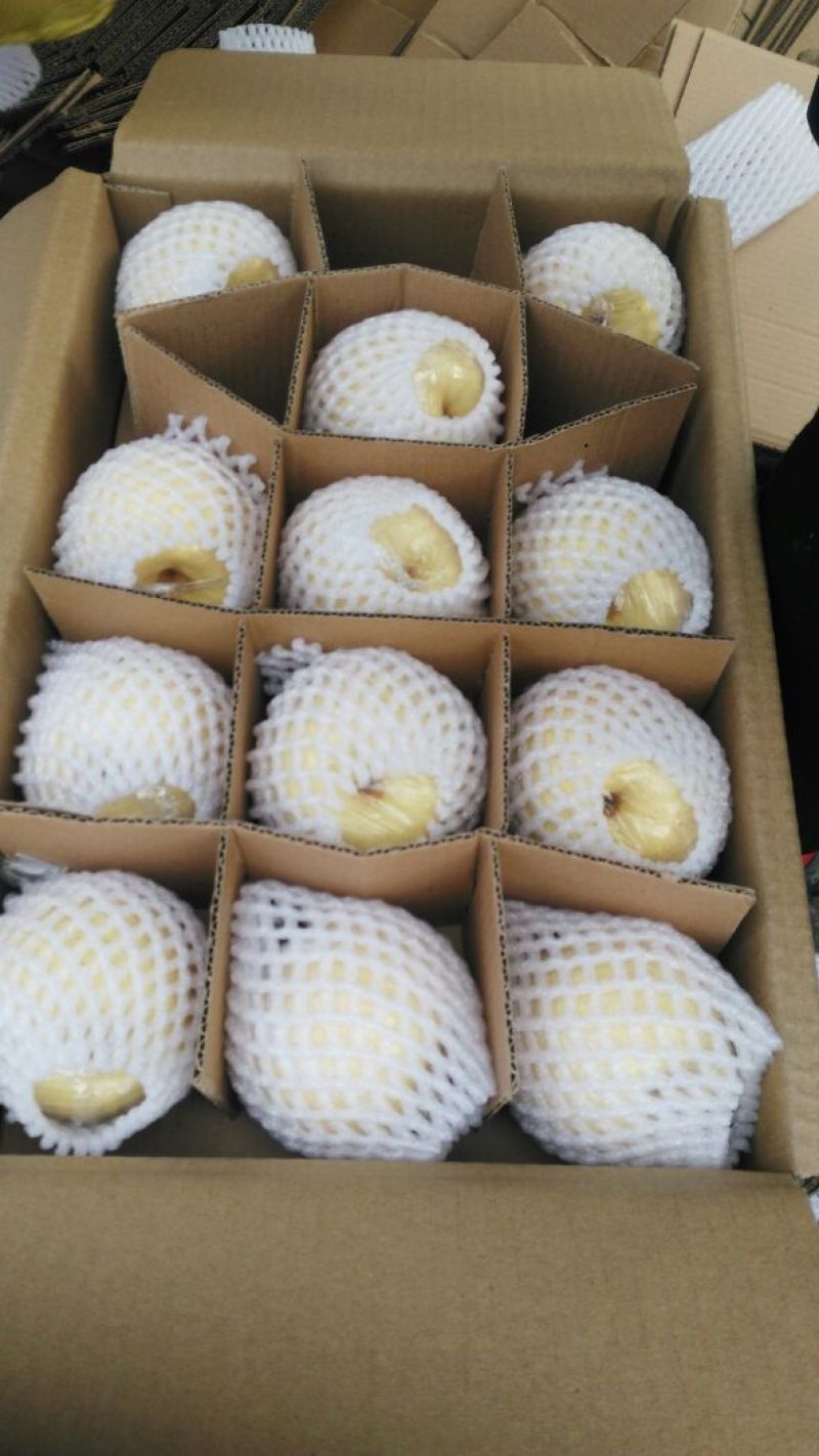 酥梨200~250g筐装