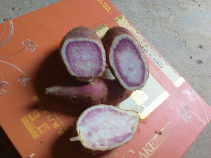 鸡蛋黄红薯