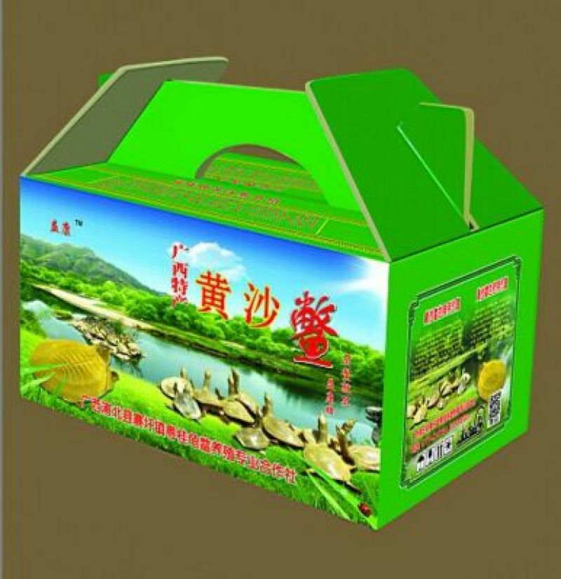 黄沙鳖