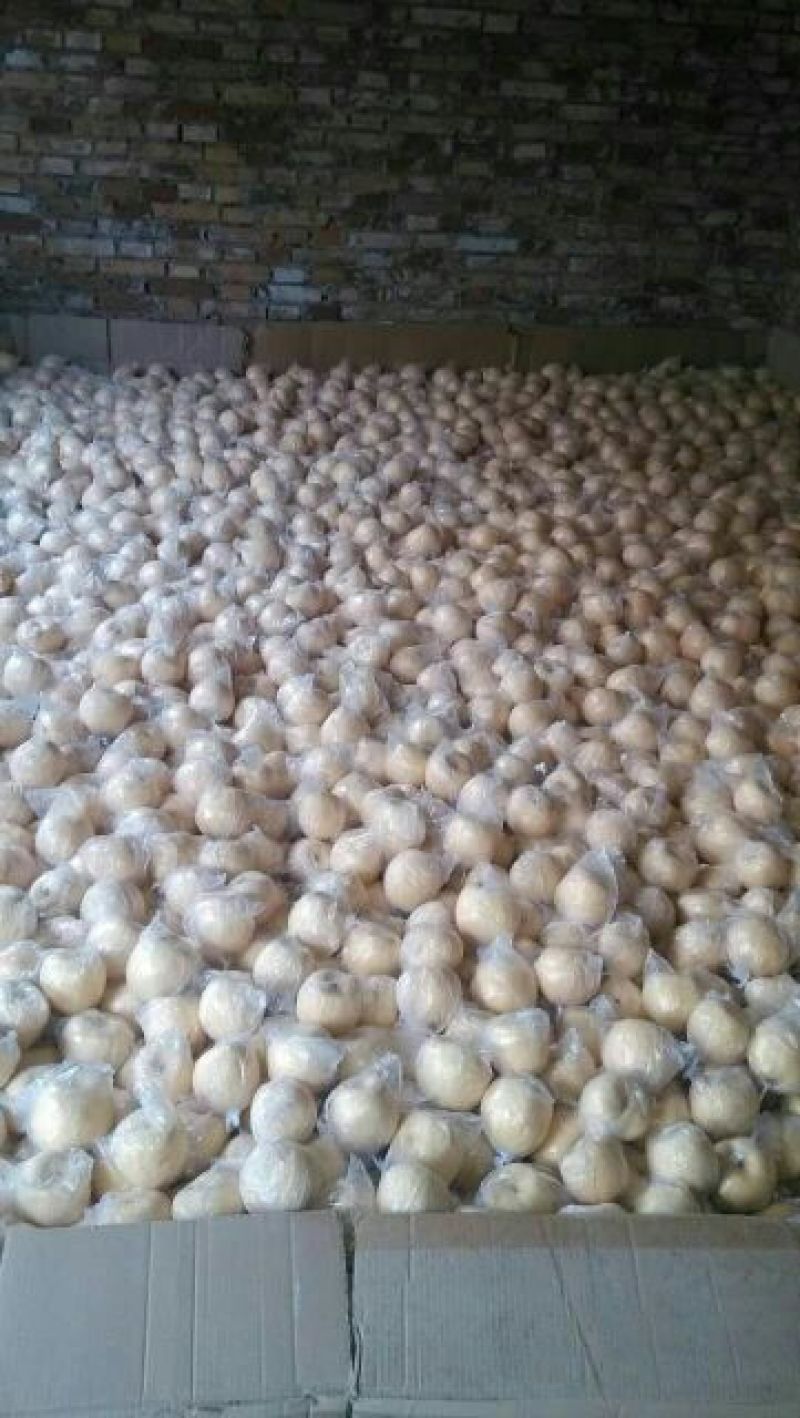 皇冠梨150~200g纸袋