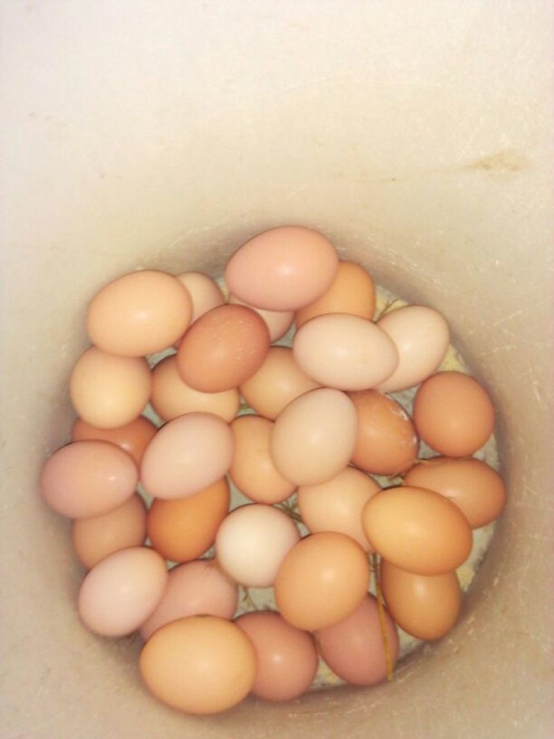 土鸡蛋食用50g以下