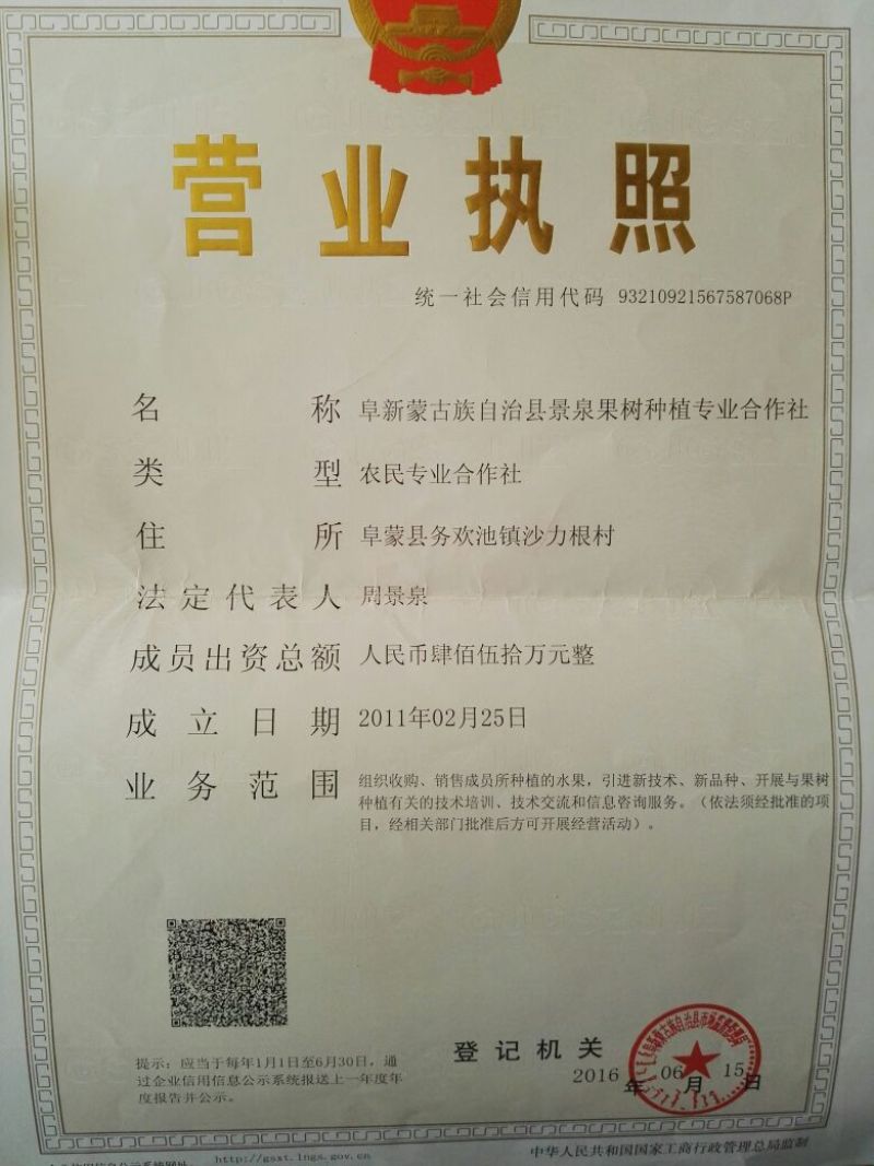 名门菠菜25~30厘米