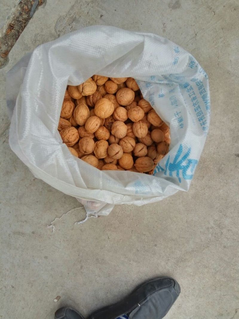 绵核桃去皮干