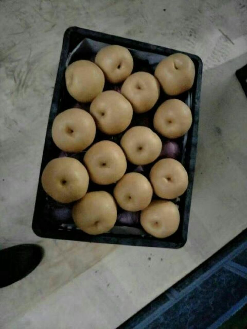 丰水梨300~350g纸袋