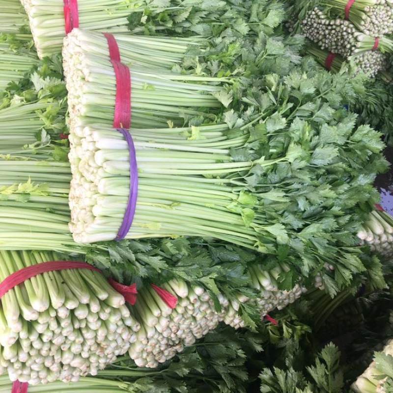 西芹