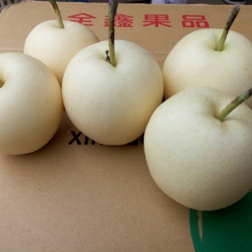 皇冠梨250~300g纸箱